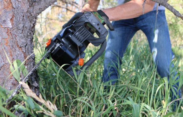 Cutting tree view of 120V Cordless chainsaw 18" Pro Series