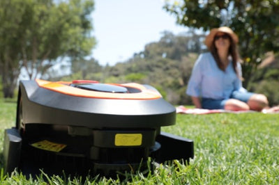 The Revolutionary MowRo Robot Mower