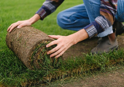 Difference Between Lawn Care and Landscaping