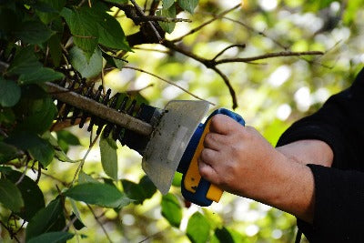 Hedge Trimmers: What To Know Before Buying