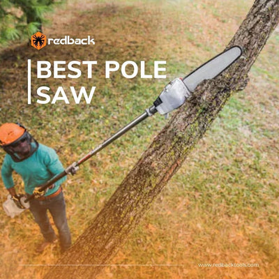 Best Pole Saw Features: What To Look For?