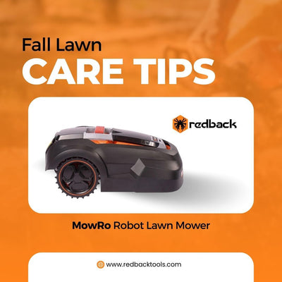 Fall Lawn Care Tips