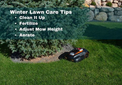 Winter Lawn Care Tips