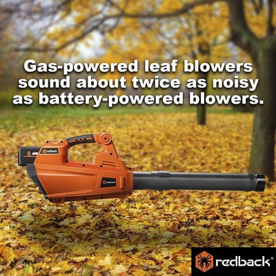 Low Noise Leaf Blowers: Why You Need One