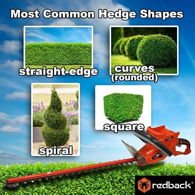 Shaping the Most Common Hedge Types